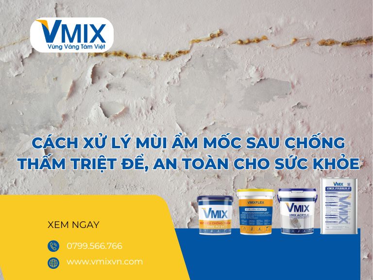 Cách xử lý mùi ẩm mốc sau chống thấm triệt để, an toàn cho sức khỏe