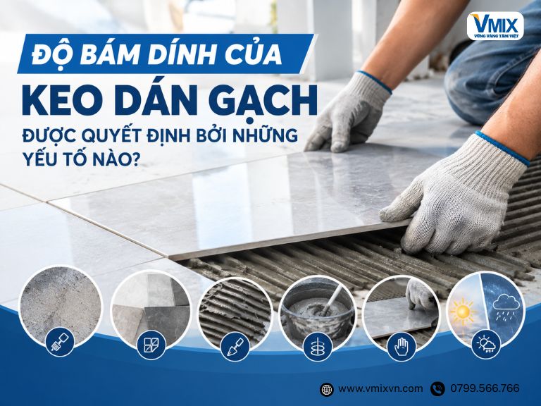 Độ bám dính của keo dán gạch được quyết định bởi những yếu tố nào?