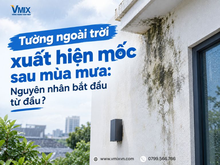 Tường ngoài trời xuất hiện mốc sau mùa mưa: Nguyên nhân bắt đầu từ đâu?